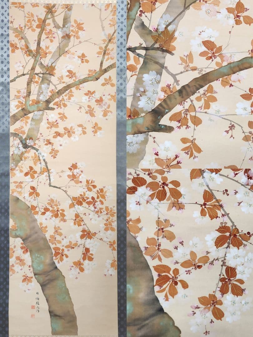 【桜花図】土居竹塘 2710 サクラ 春掛け 掛け軸 肉筆