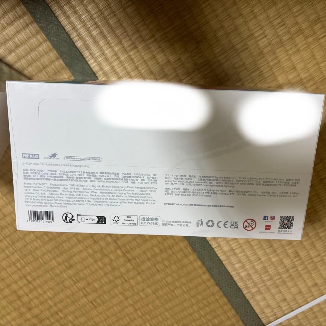 ぬいぐるみ Big into Energy Vinyl Figure Blind Box