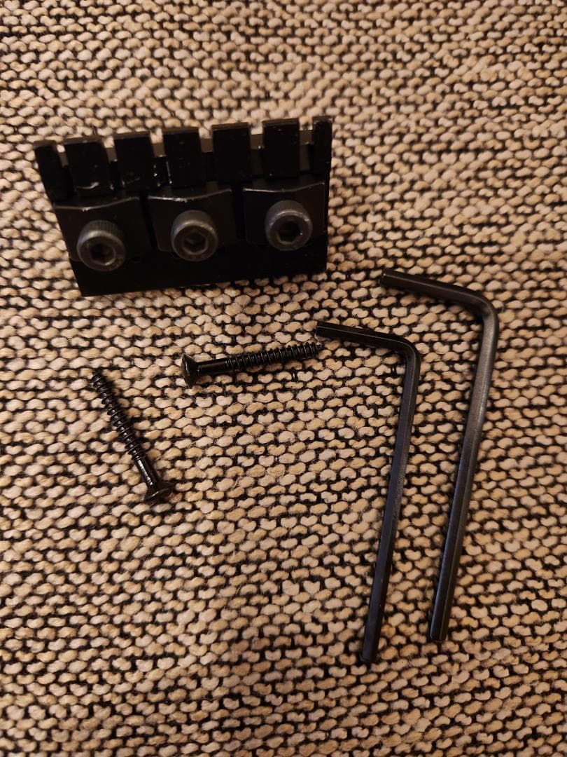 STEINBERGER SPIRIT GT-PRO DELUXEスタインバーガー