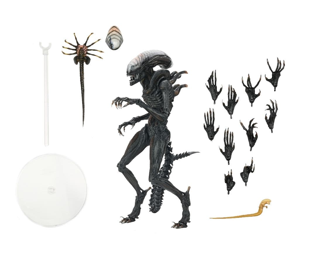 新品未開封 NECA ネカ エイリアンロムルス スコーチドゼノモーフ