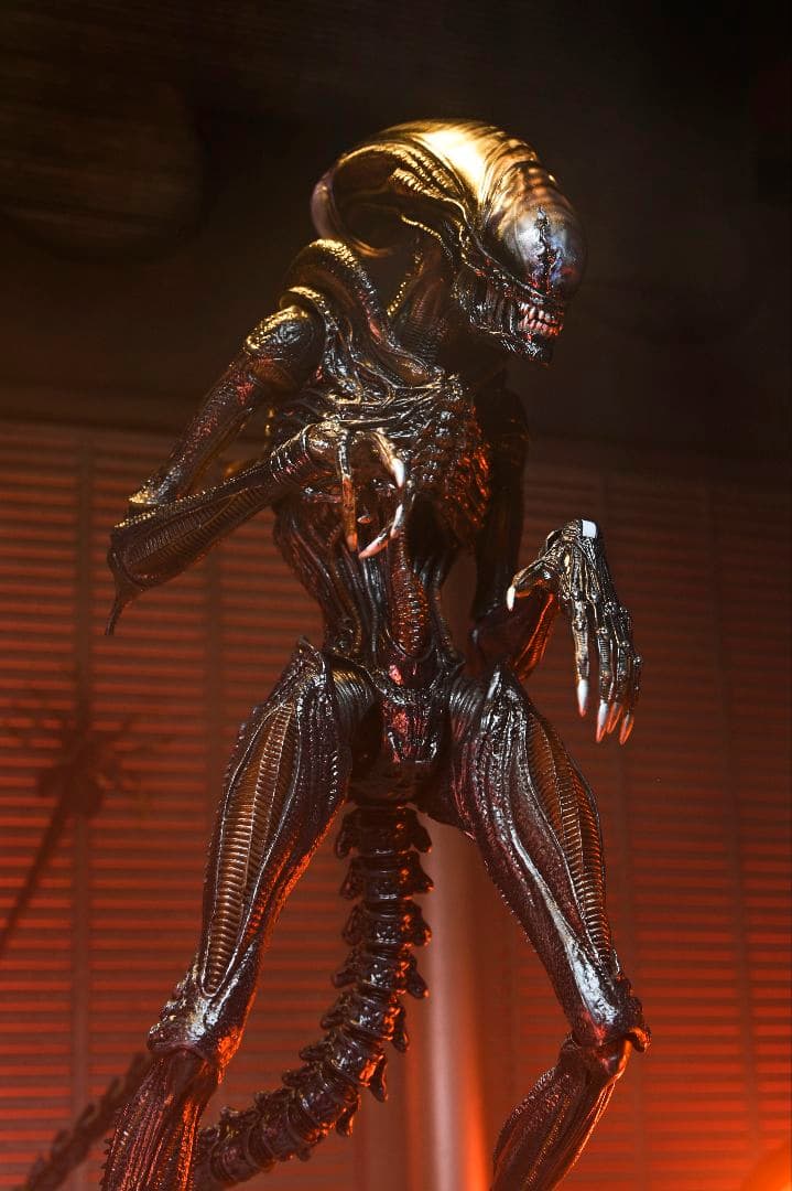 新品未開封 NECA ネカ エイリアンロムルス スコーチドゼノモーフ