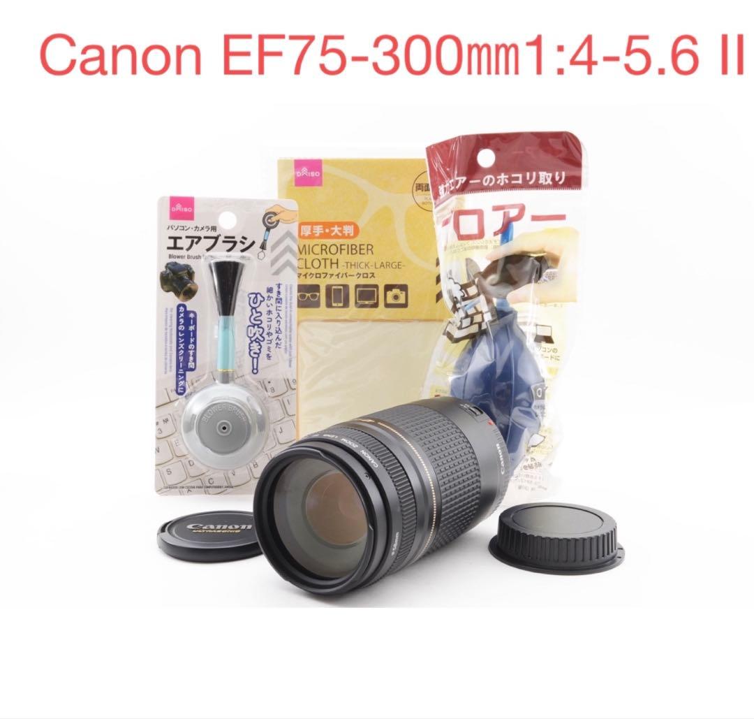 美品/望遠レンズ/Canon EF 75-300㎜1:4-5.6 Ⅱ Φ58㎜