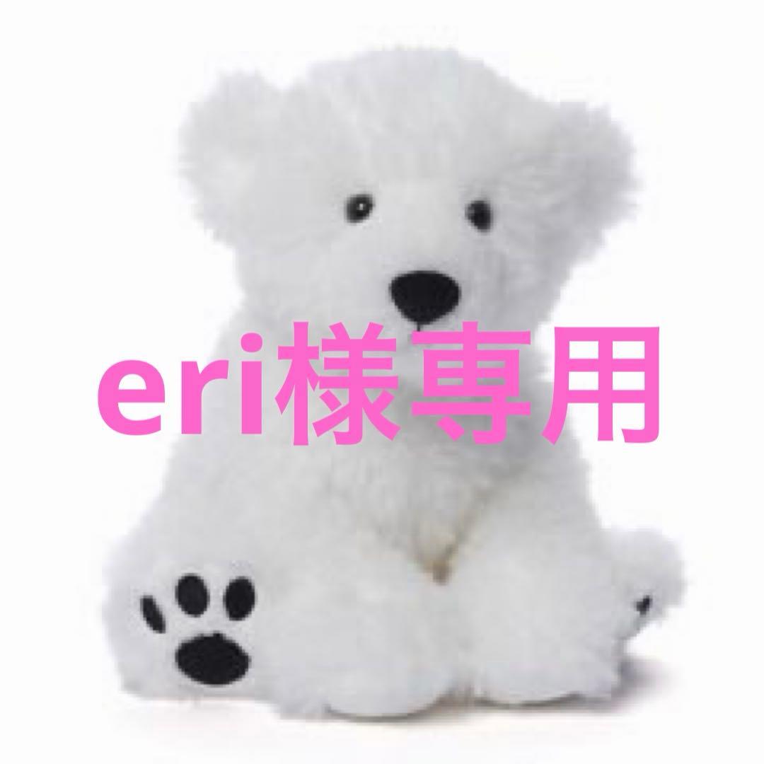 その他 eri