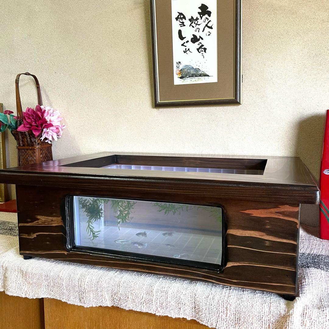 新作 NV13BOX専用 横見木枠 横見ケース メダカ めだか ビオトープ