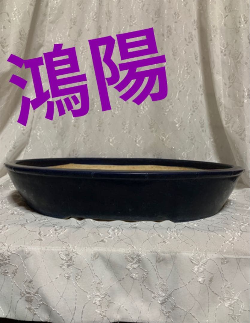 鴻陽　大きめ鉢