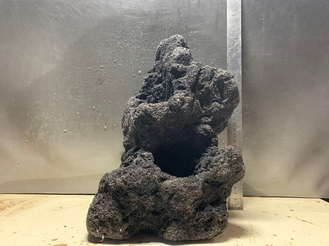 2[絶版]ADA雲山石3.5キロ★穴3個　水槽　レイアウト　アクアリウム　60