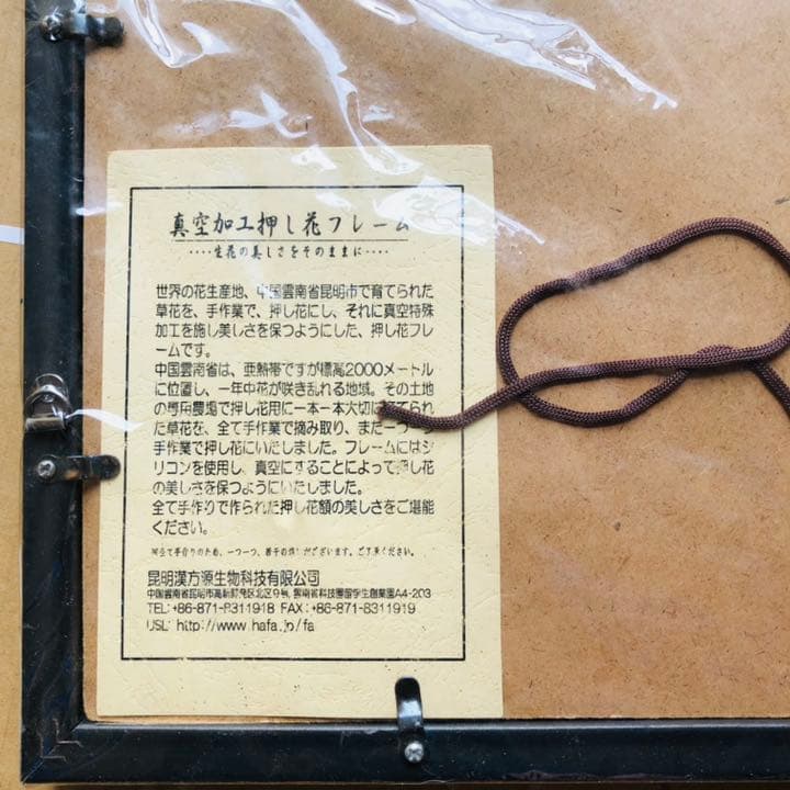 真空加工　押し花フレーム　額付き　アンティーク　美術品　絵画