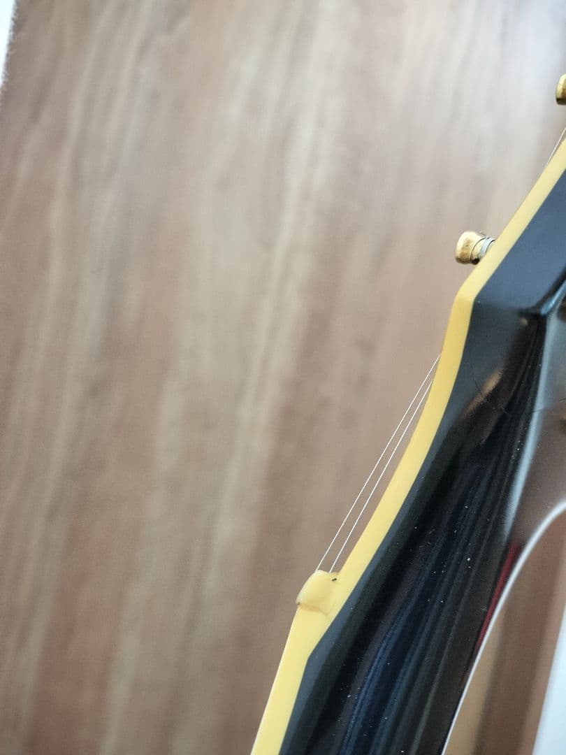 e-lp-98ltc レスポールカスタム　edwards