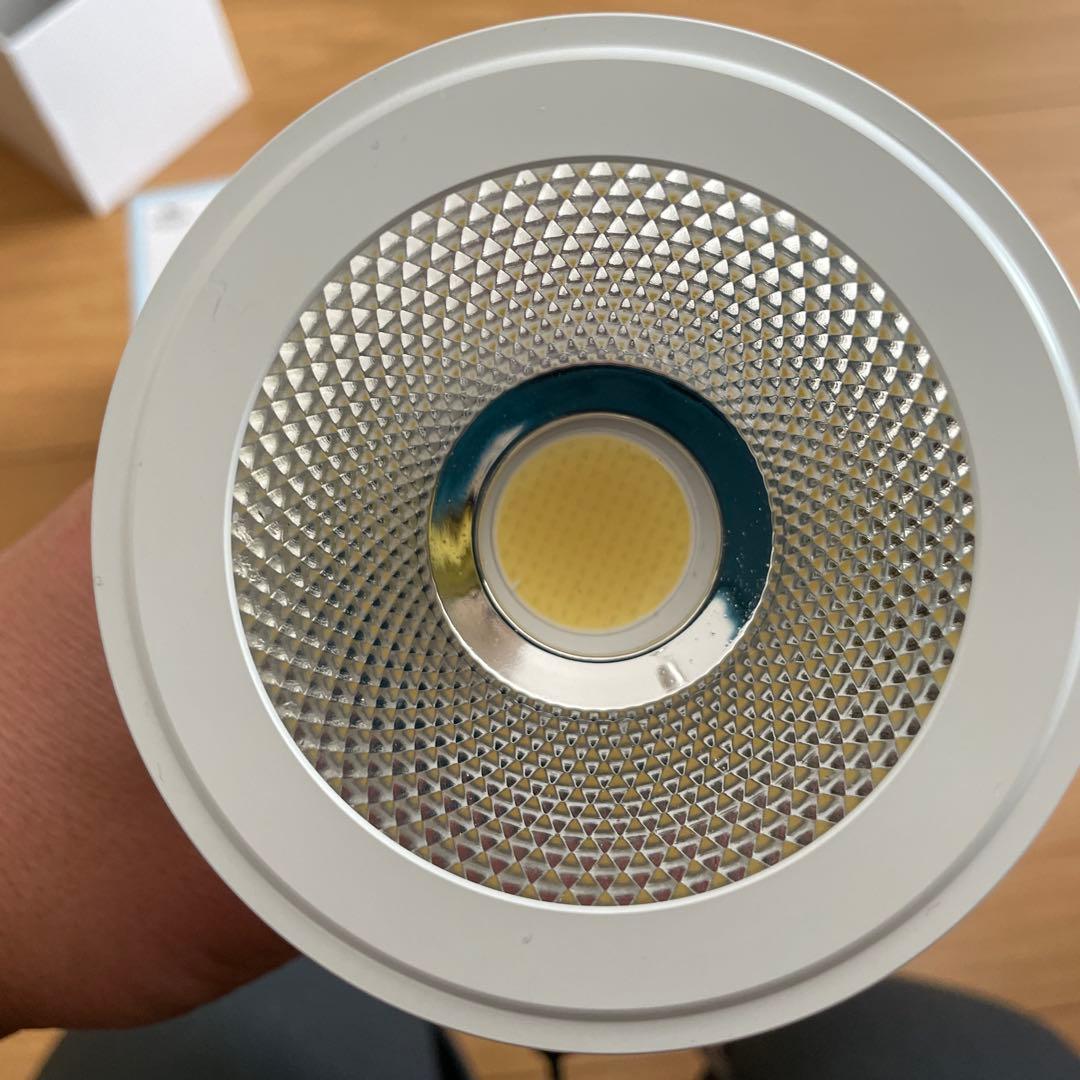 SUSANOO 10W スポットライト 白色光