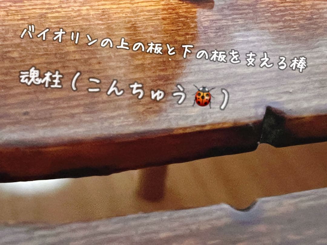 violin JanLorenz ヤン=ロレンツ 4/4