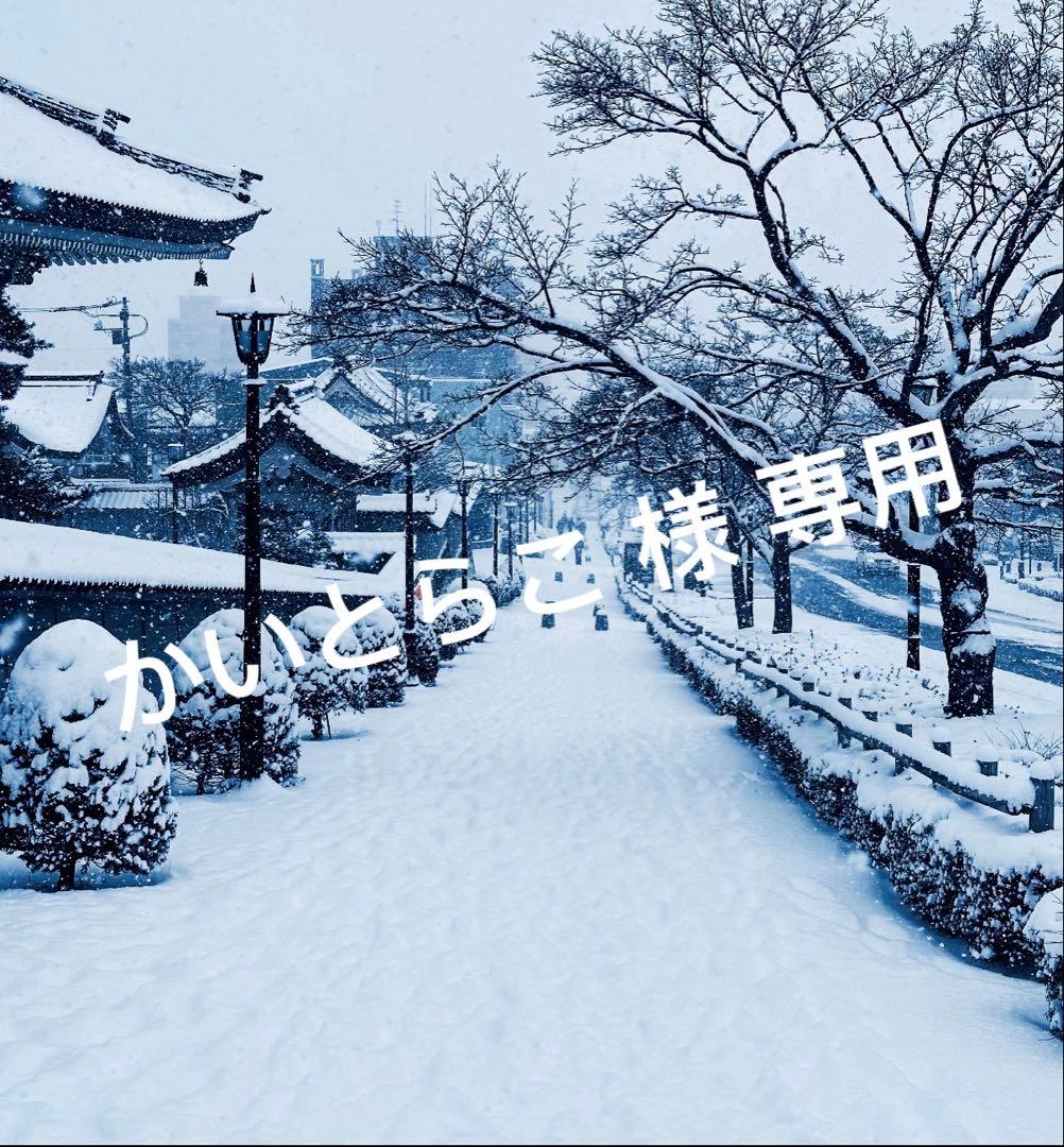 かいとらこ ……2足