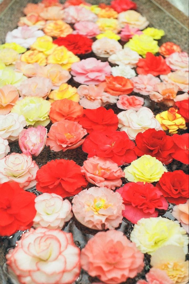 ライカ　M3 ズマリット　レンズセット　オーバーホール済み