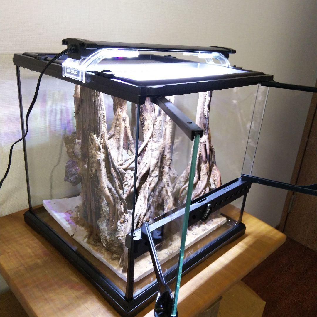 【受注生産】グラステラリウム3030　イモリウム　苔テラリウム　アクアテラリウム