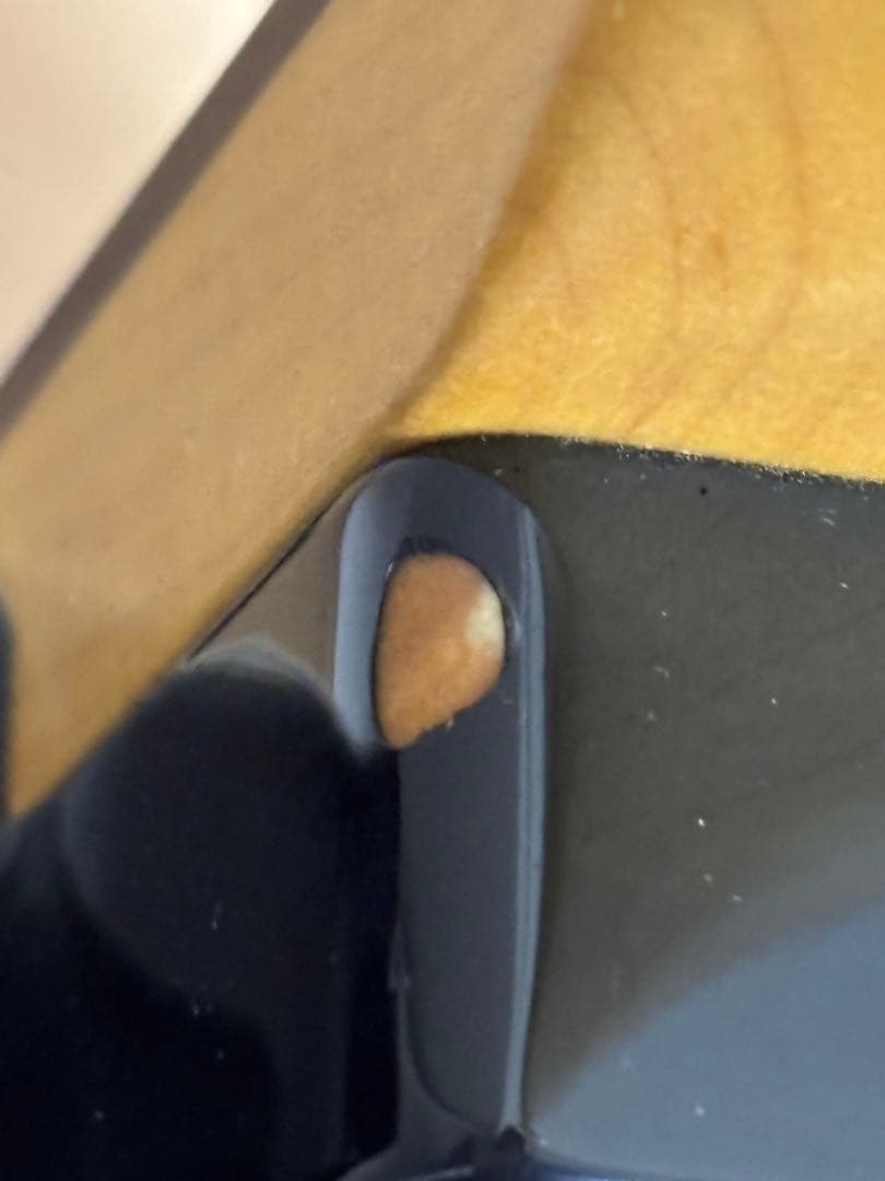 フジゲン　fujigen（FGN） SNST101【限定生産品】