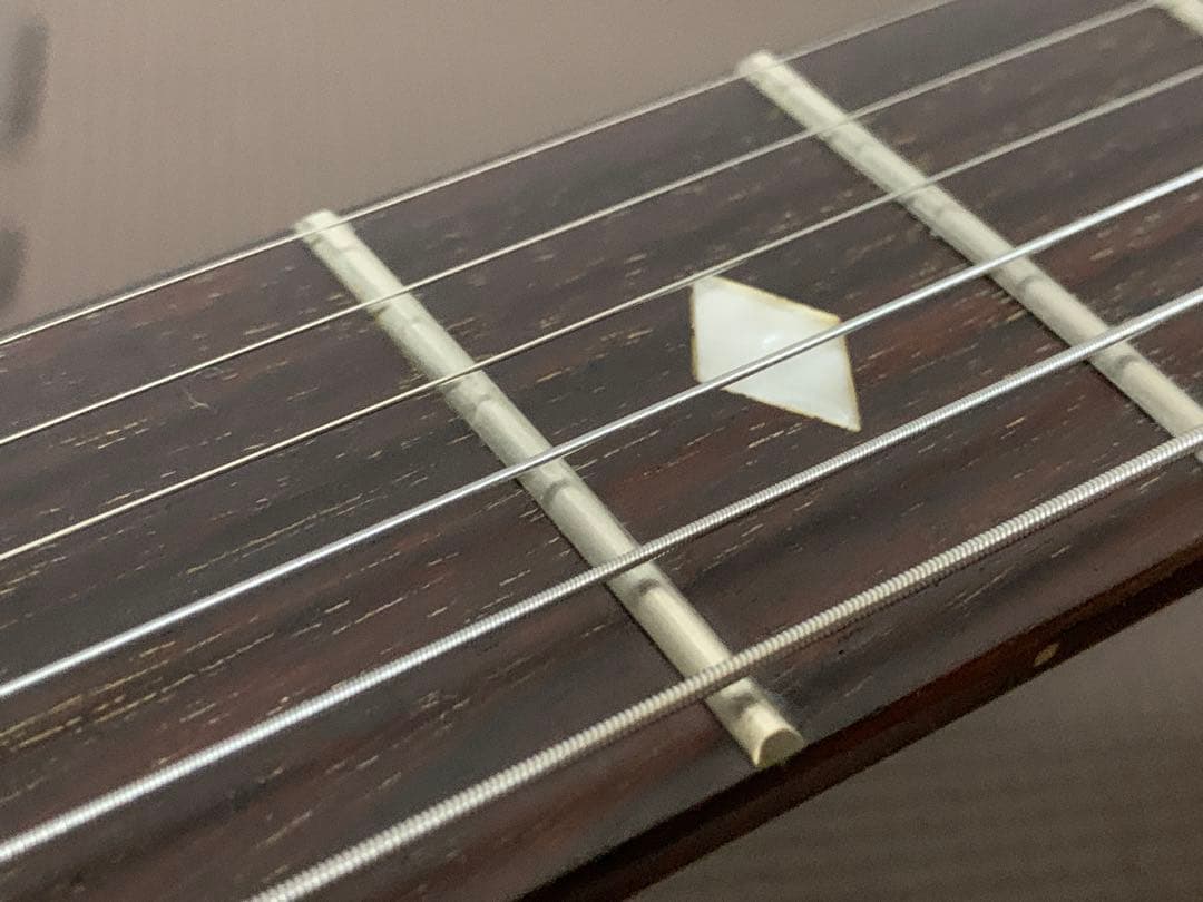 Chatting Bird Mockingbird モッキンバード hide