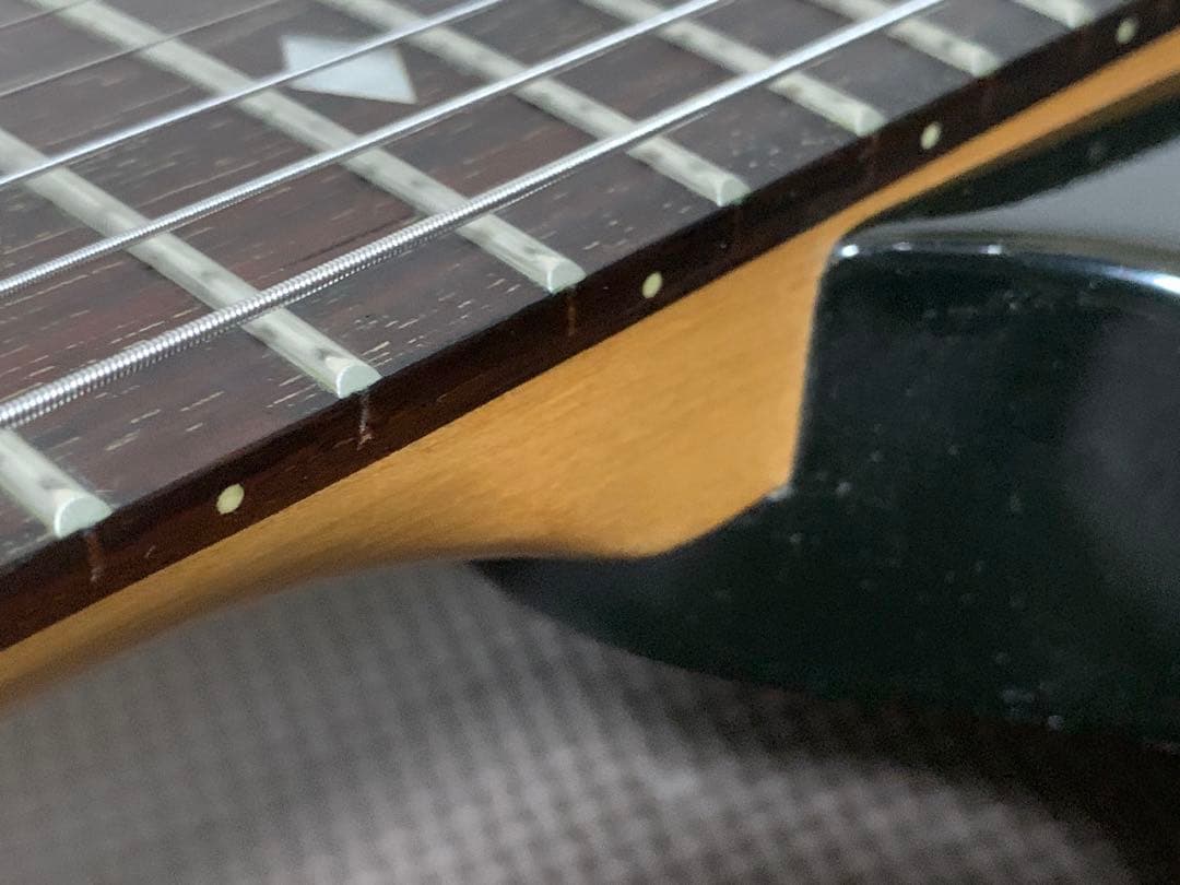 Chatting Bird Mockingbird モッキンバード hide