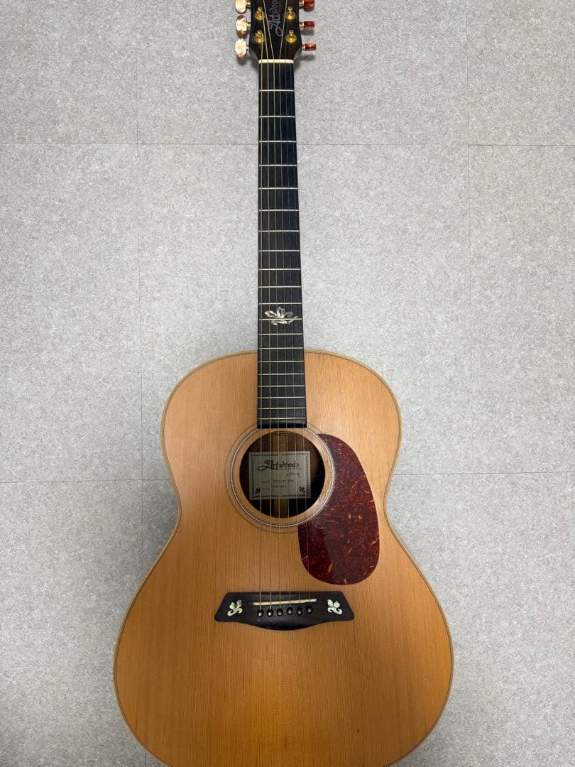 ギター Ibanez Artwood AW1010C