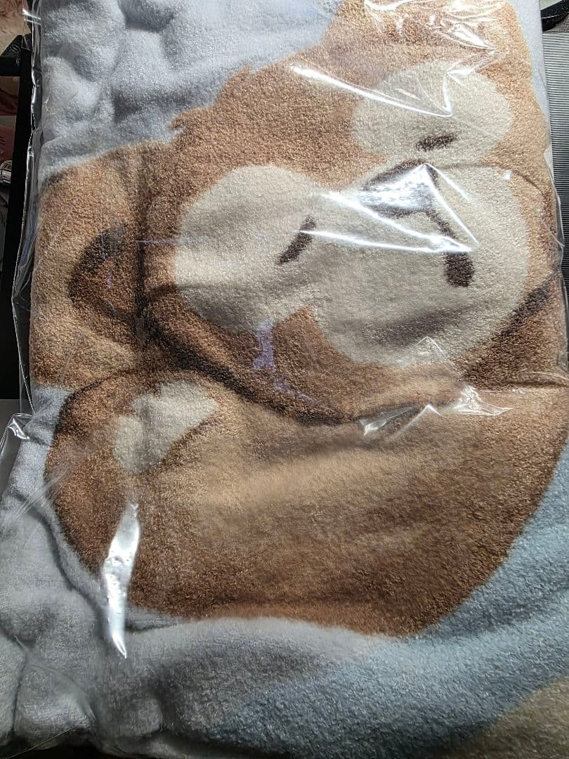 gelato pique Duffy ジェラピケ ダッフィー ブランケット