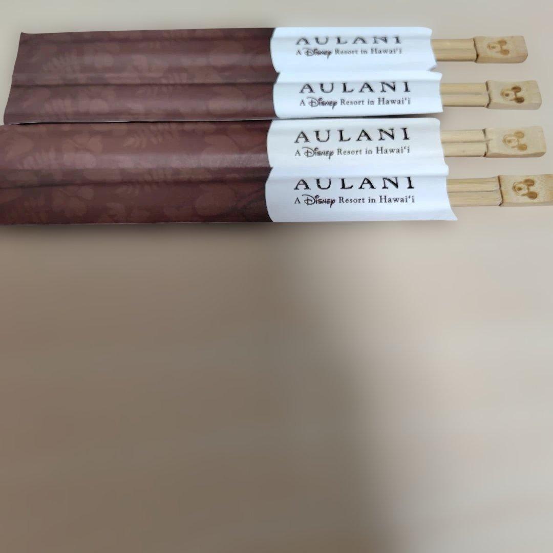 DVCリトグラフ＆25周年パンフ＆スティッチパンフ＆ステッカー＆ミッキーお箸