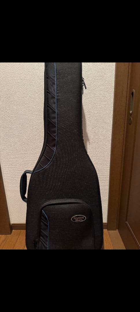 ギター victor baker model 35 semi hollow