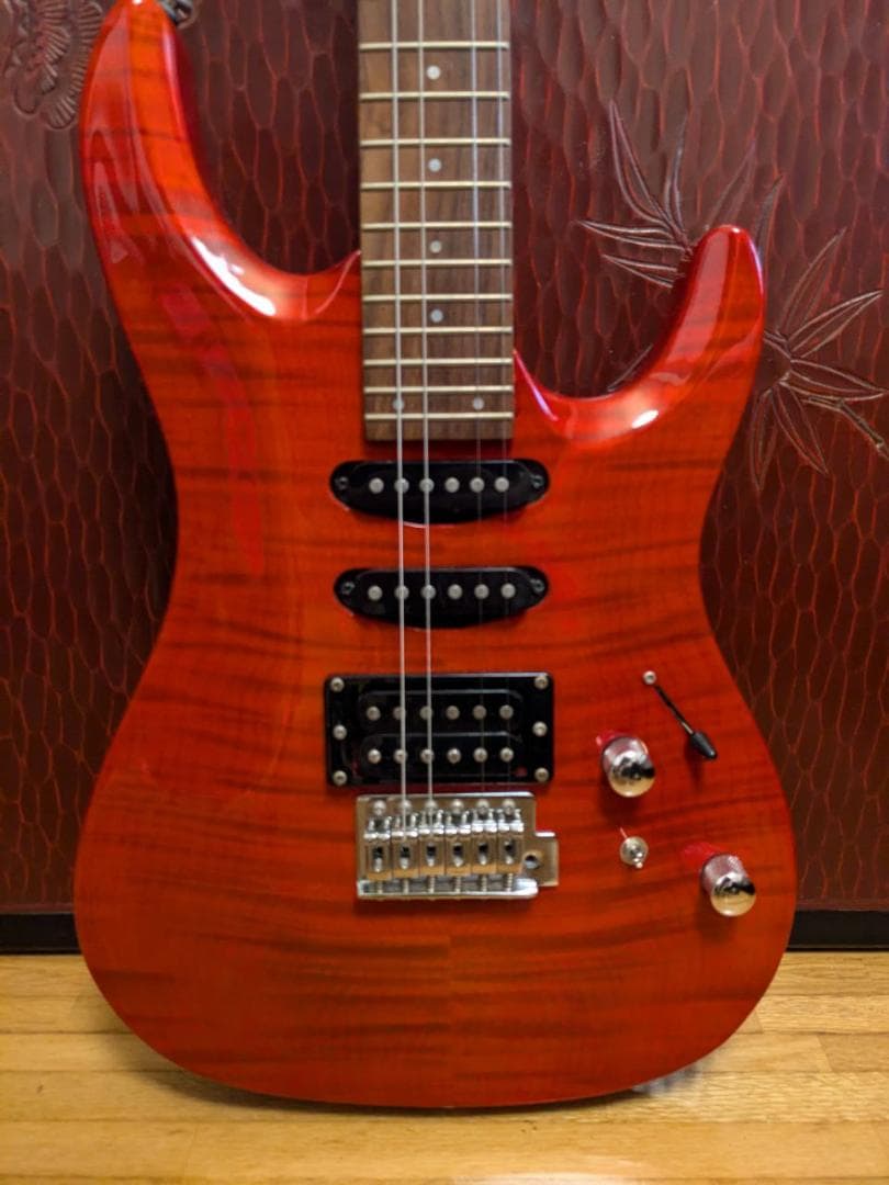 Aria Pro II エレキギター と RITTER ギターケース