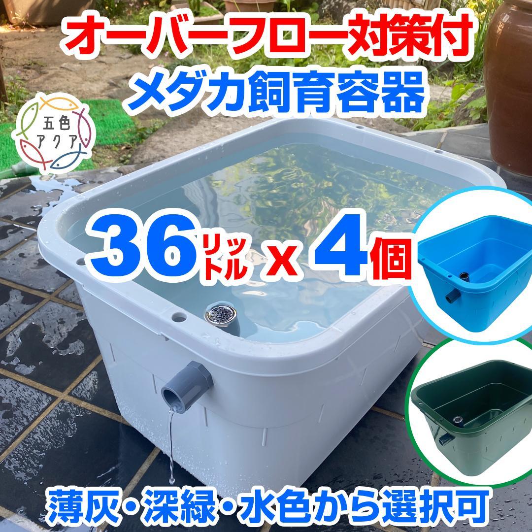 メダカ飼育ケース 36㍑x4個（4色あり）大雨対策付 めだか飼育容器 金魚鉢