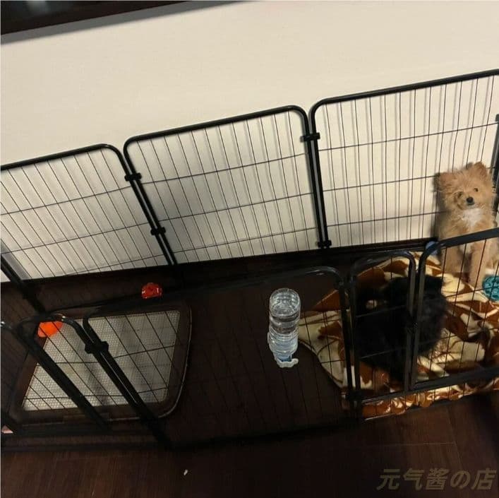 キャットタワー 170cm 6 段宇宙船 大型猫用 木製 多頭飼い