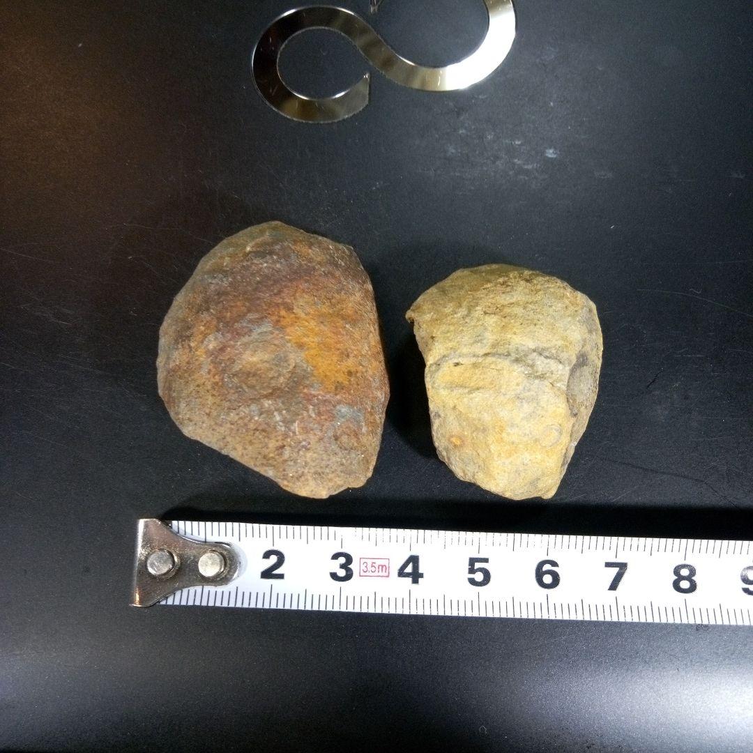 三葉虫　化石　fossil　海　ボリビア産　trilobite　ボリビア化石郡③