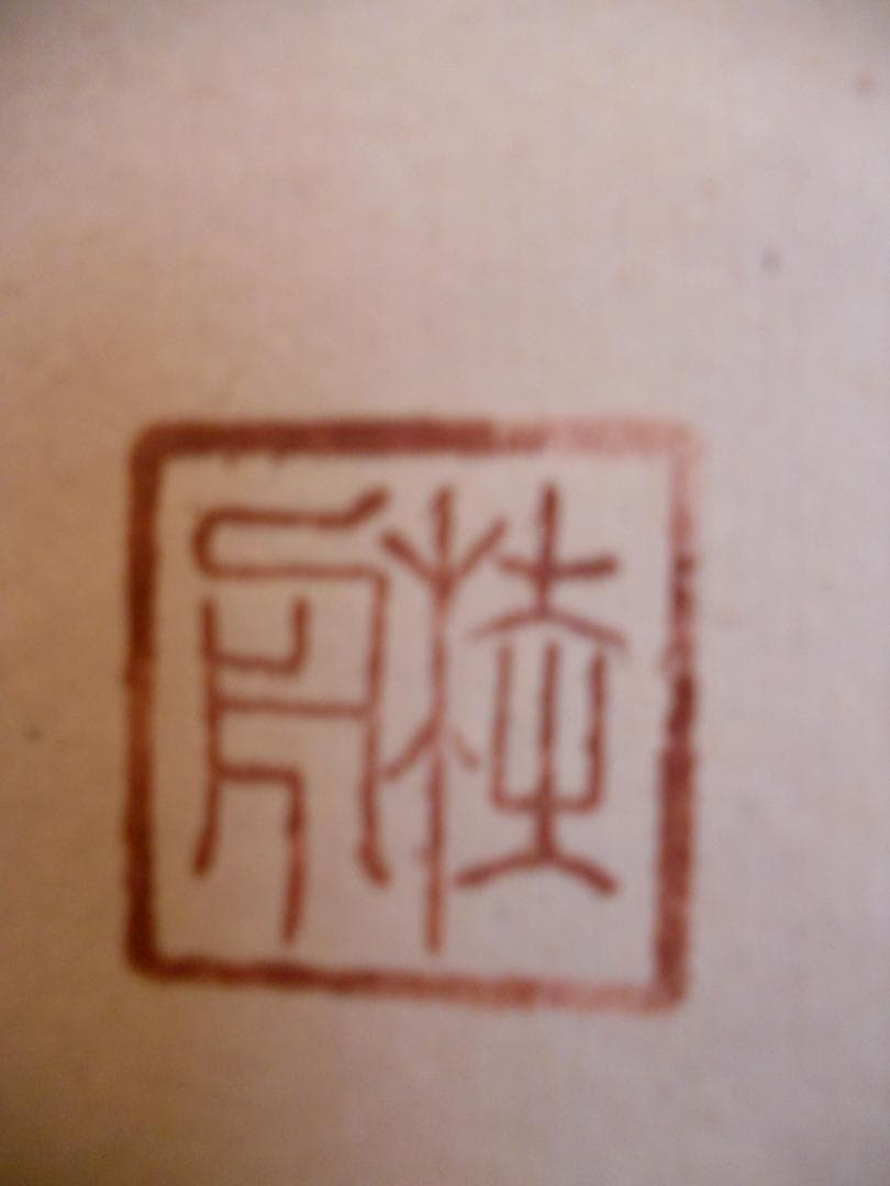 掛け軸 不老長春 紙本 希少 軸装 茶道具 掛軸 です。