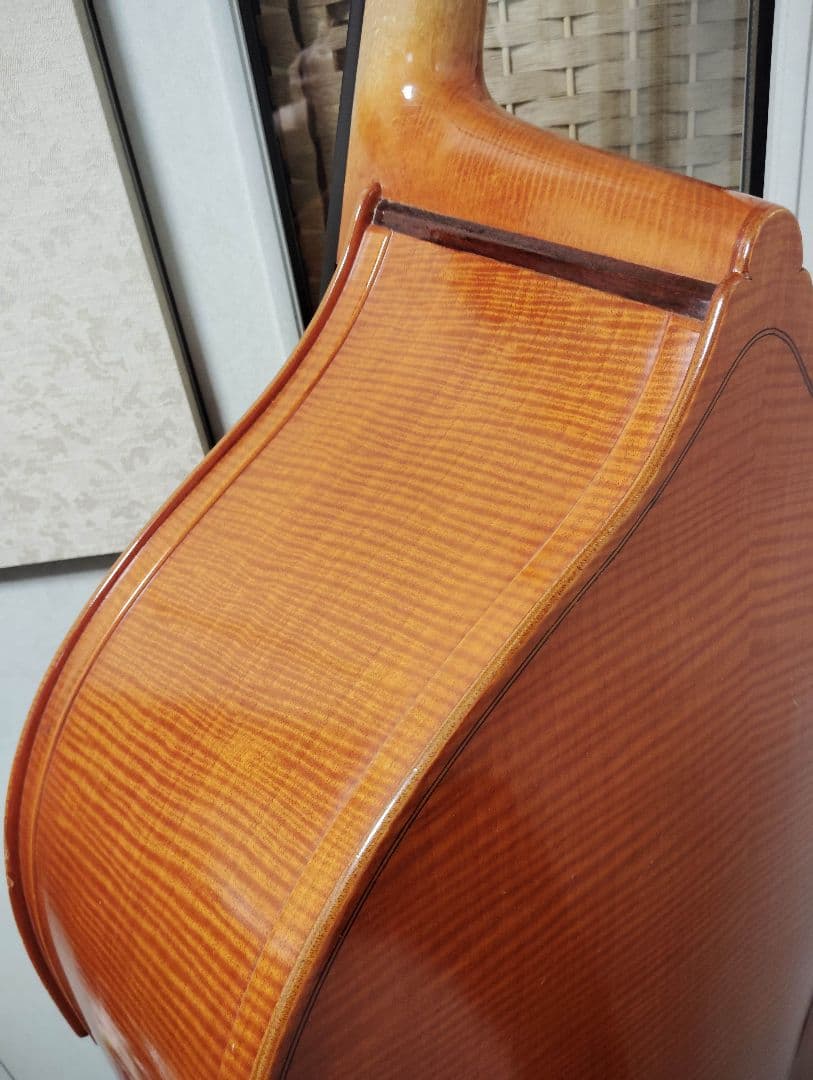 コントラバス ウッドベース スズキ ケース付 表単板 エヴァピラッツィ弦