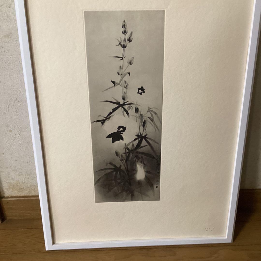 天才画家　速水御舟　作品集大作編　便利堂監修　画集【露　潤】　NO 41