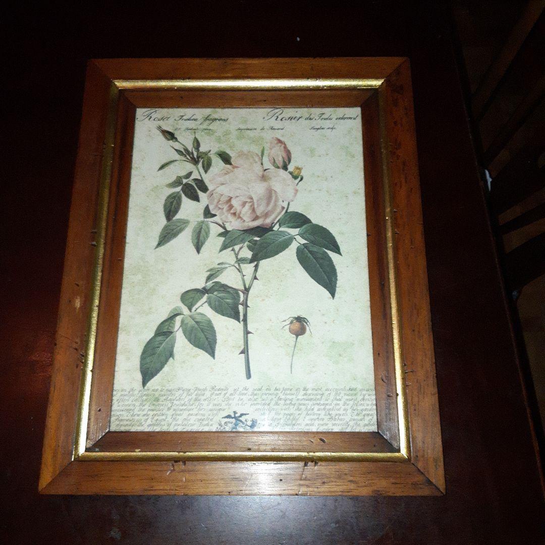 P.J.ルドゥーテ　薔薇　プリント　絵　額