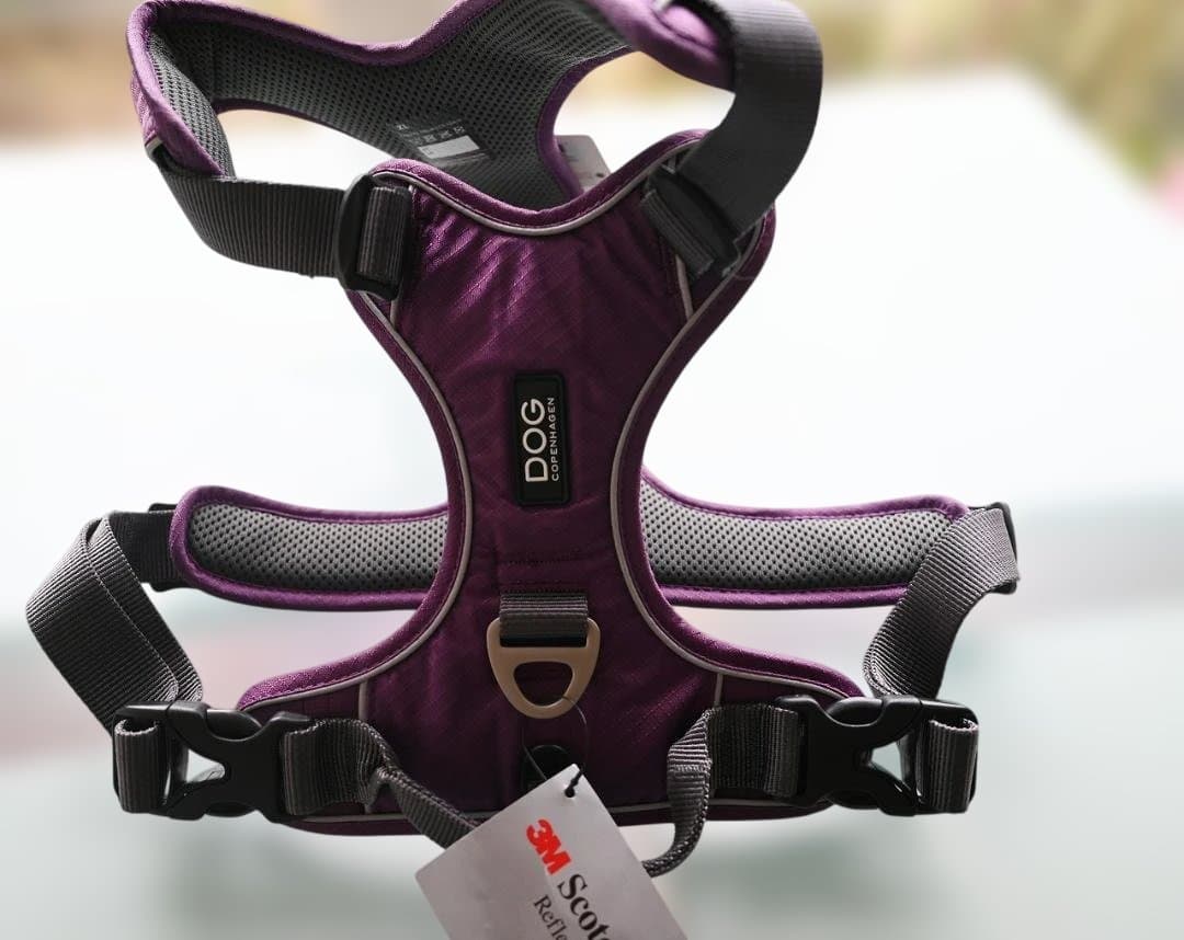 COMFORT WALK PRO™ ハーネス XL パープル