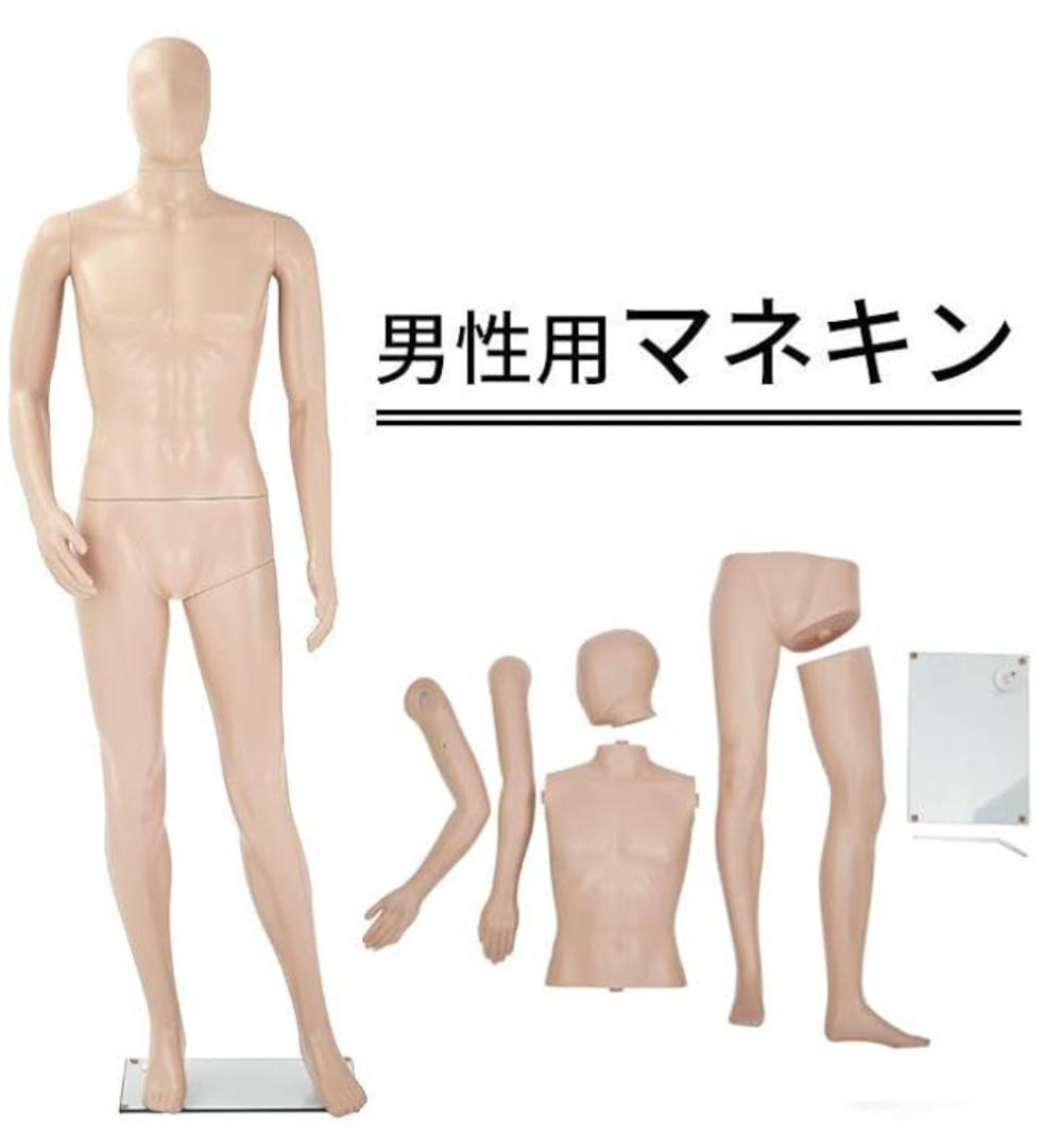 全身マネキン・トルソー メンズ 185㎝ - ダイセイ