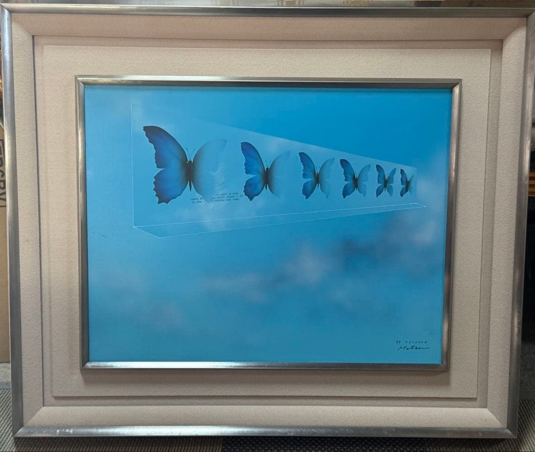 松哲也　時空　蝶の変化を描いたアート作品　送料込み0321