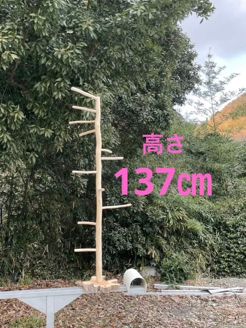 月華☪️