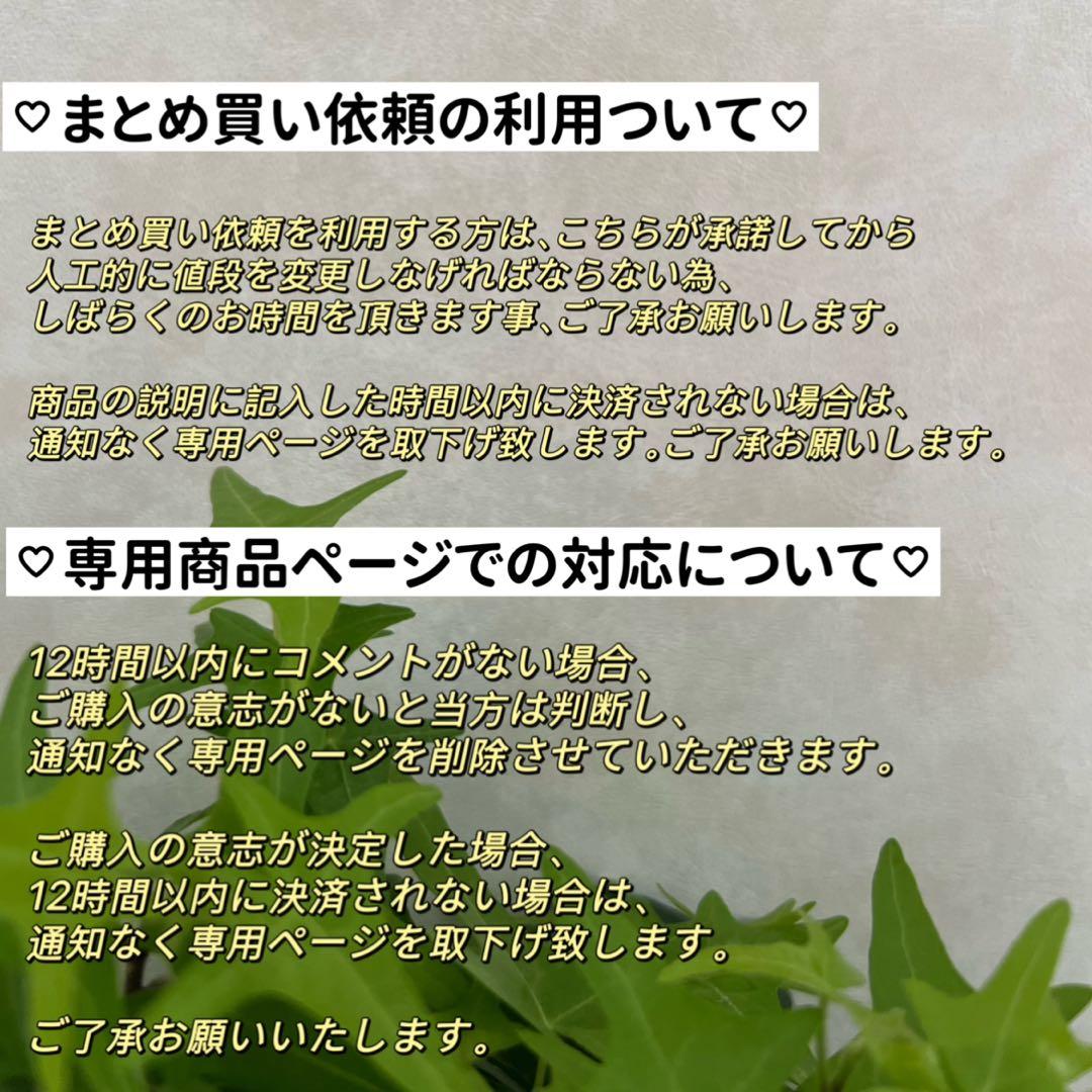 2連パールレイヤードネックレス　淡水パールネックレス　2連パールネックレス