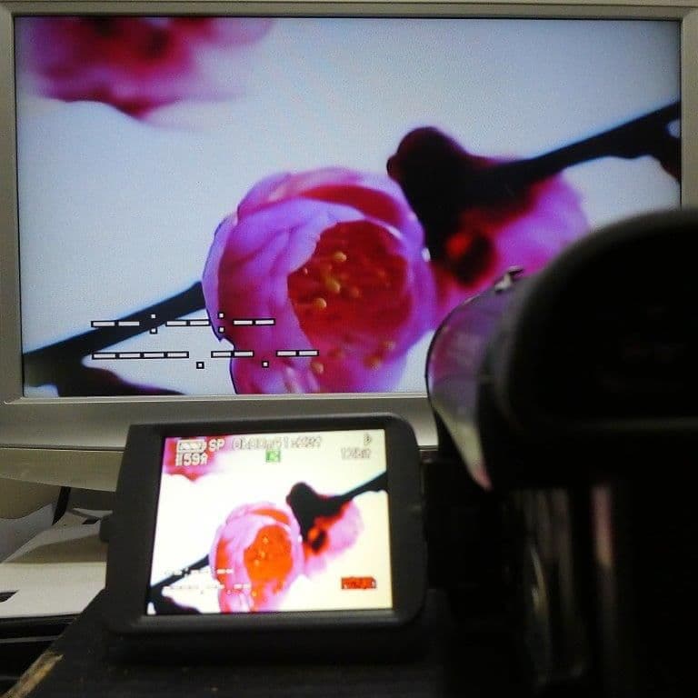 美品・動作良好 パナソニックNV-GS200 MiniDVビデオ DVD化に最適