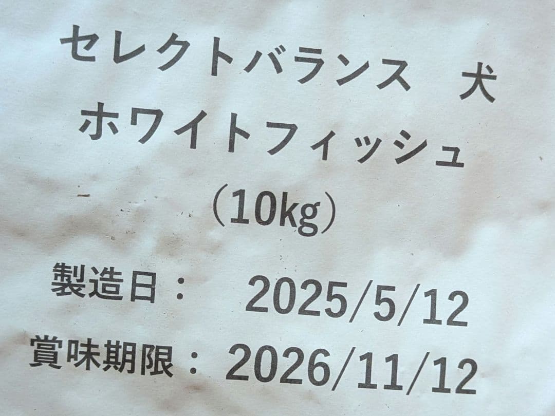 めいか