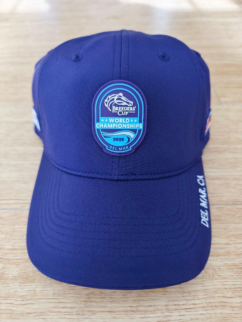 ブリーダーズカップ フォーエバーヤング キャップ 2025 競馬