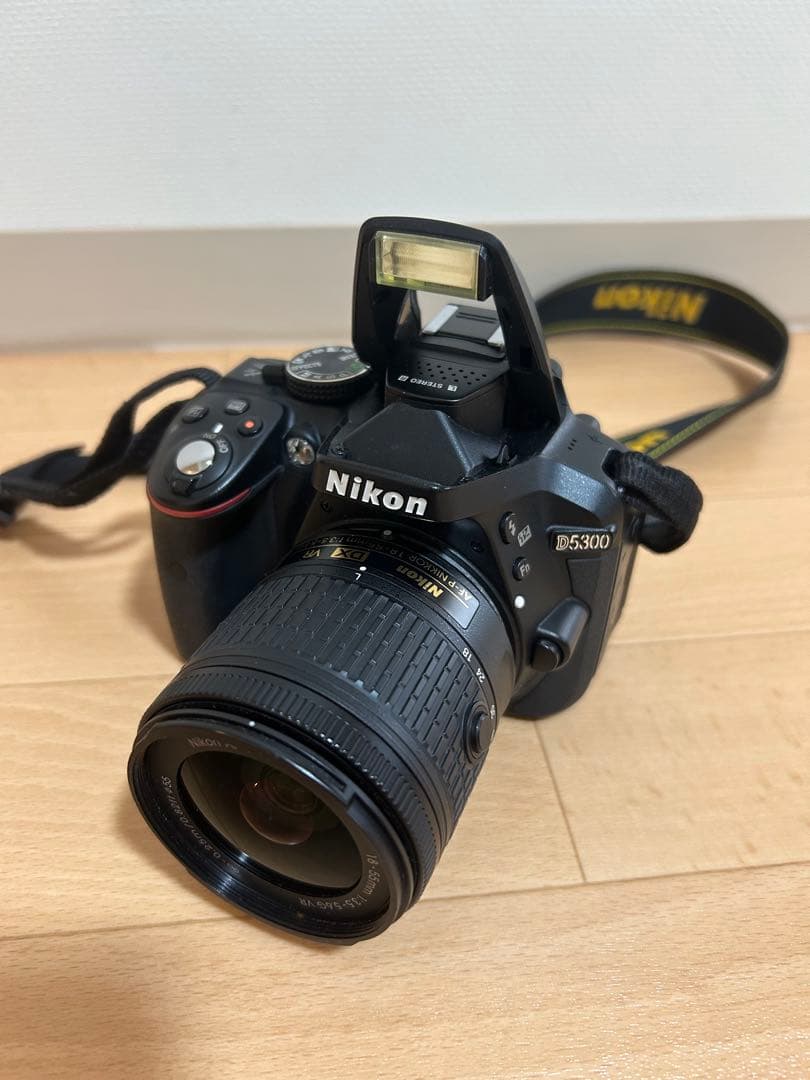 Nikon D5300 デジタル一眼レフカメラ　カメラバッグ付き　レンズセット