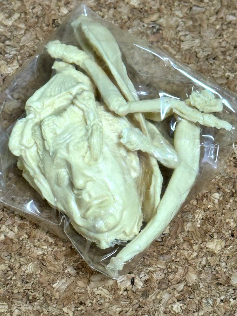 絶版品　フューチャーモデルズ　フェイルド・ガイバー　1/6 韮沢靖　原型