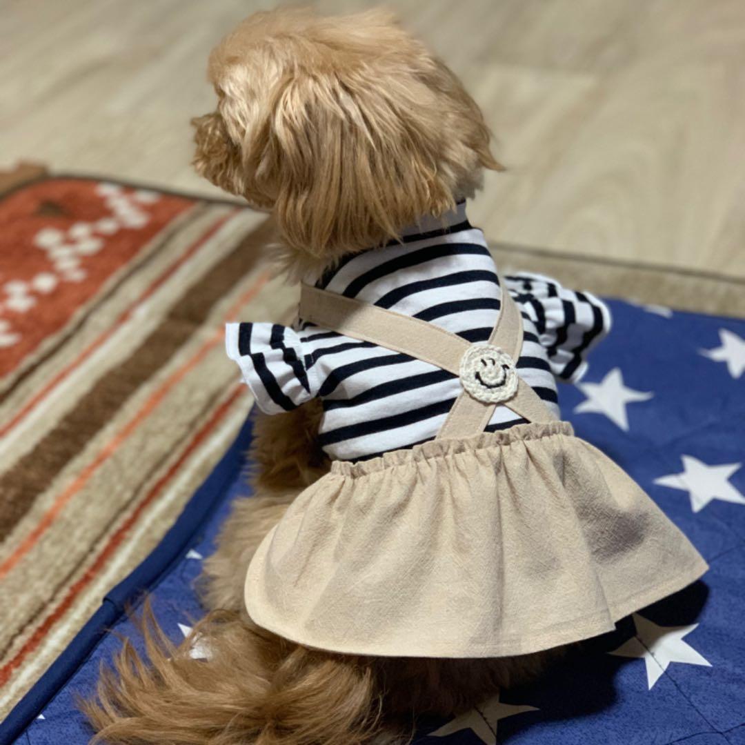 犬服⭐︎ハンドメイド♡ボーダーワンピース