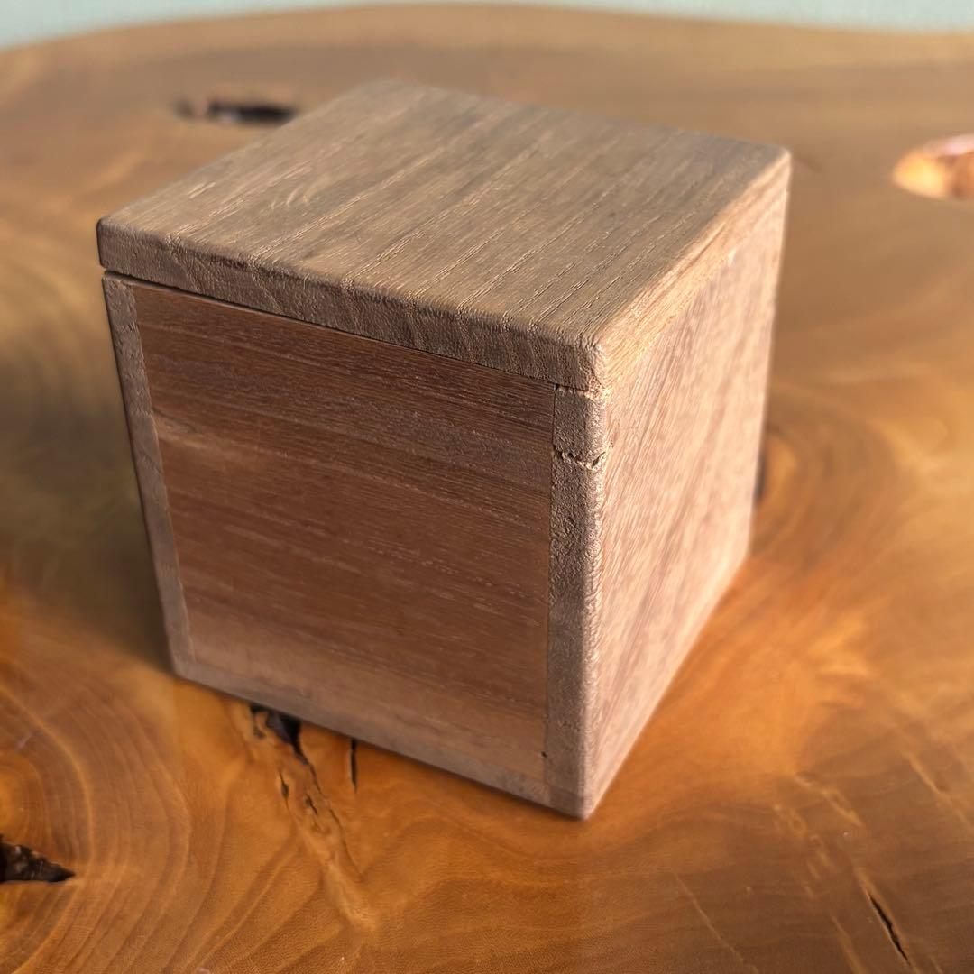 棗 竹根 蔦の葉 作家物 茶道具 共箱