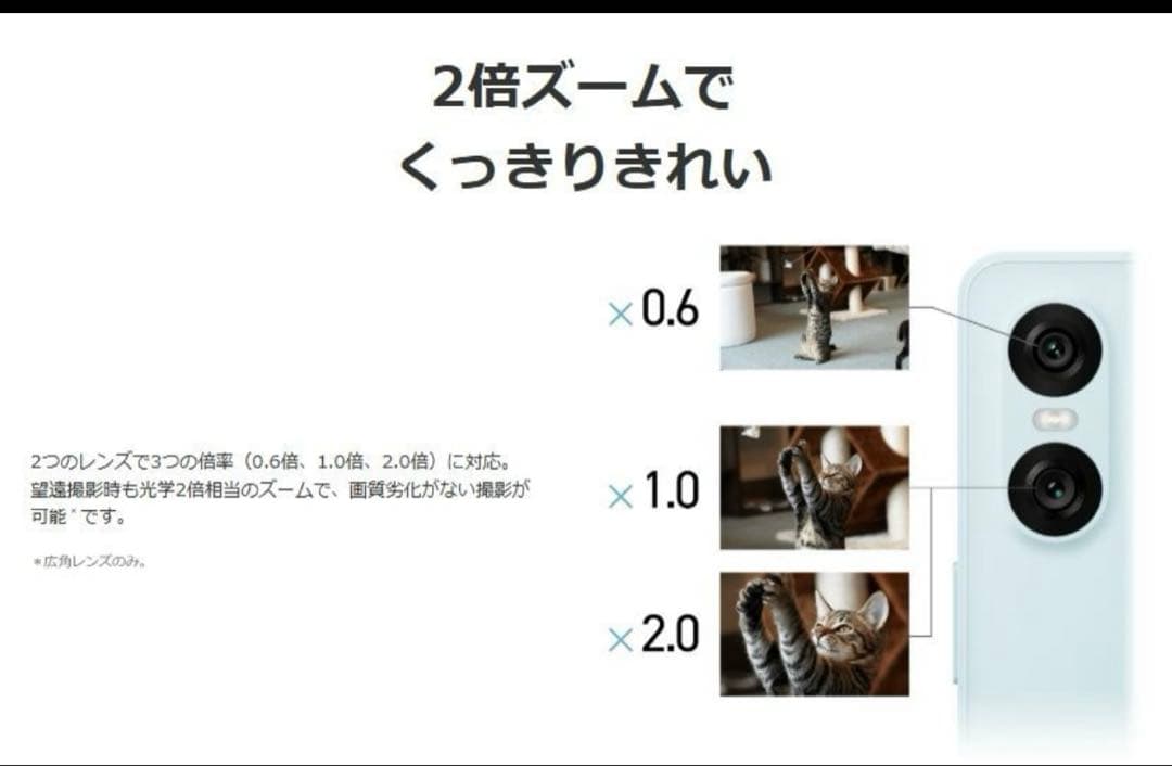 「新品未開封」Sony Xperia 10 VI ブルーSIMフリー