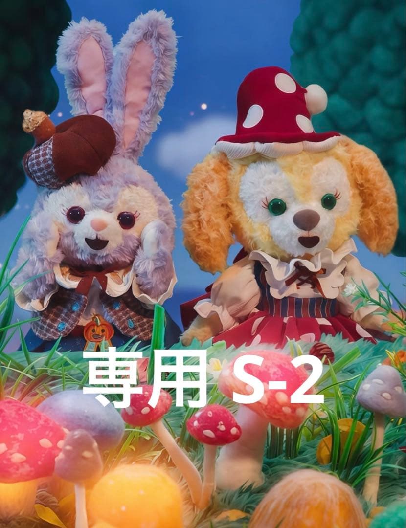 専用ページS-2