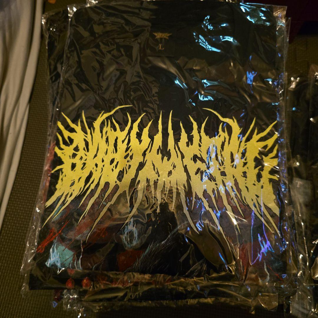 BABYL Tシャツ（ロンT 1枚含む）13枚セット