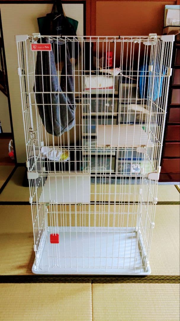 猫　サークル