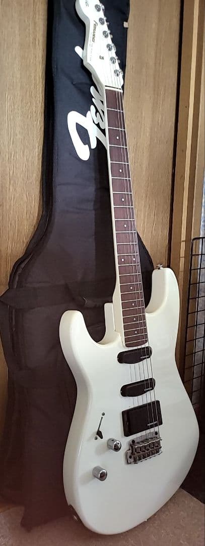 FERNANDES THE FUNCTION CUSTOM BODYエレキギター