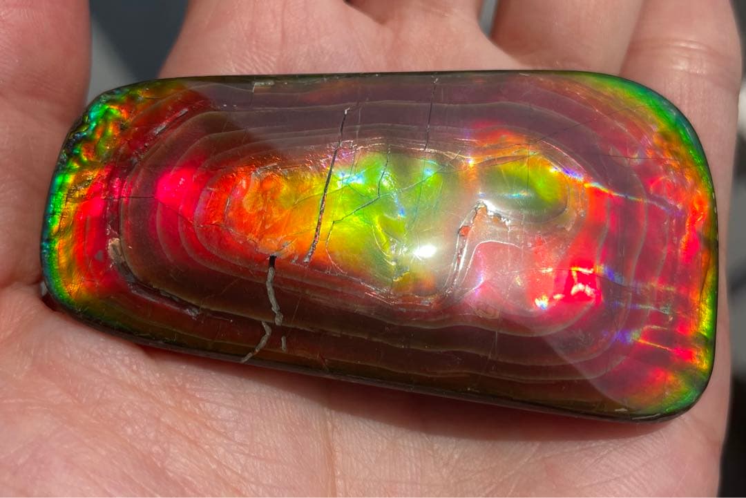 【期間限定セール】アンモライト 天然研磨ルースストーン